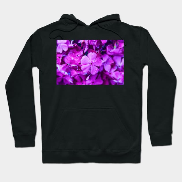 Purple Flower Hoodie by Graz-Photos